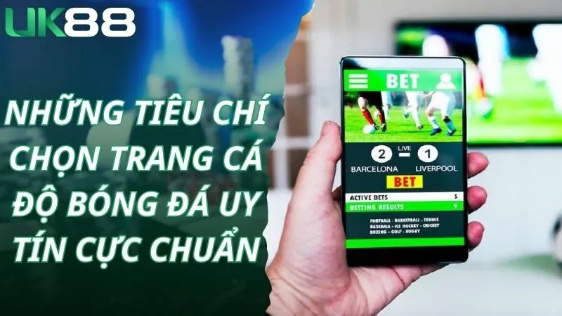 Những tiêu chí chọn trang cá độ bóng đá uy tín cực chuẩn
