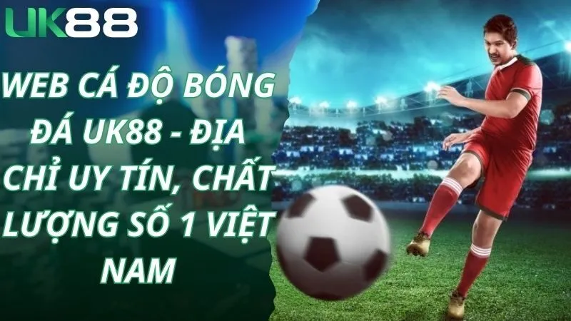 web cá độ bóng đá